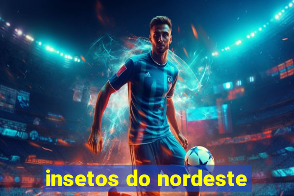 insetos do nordeste